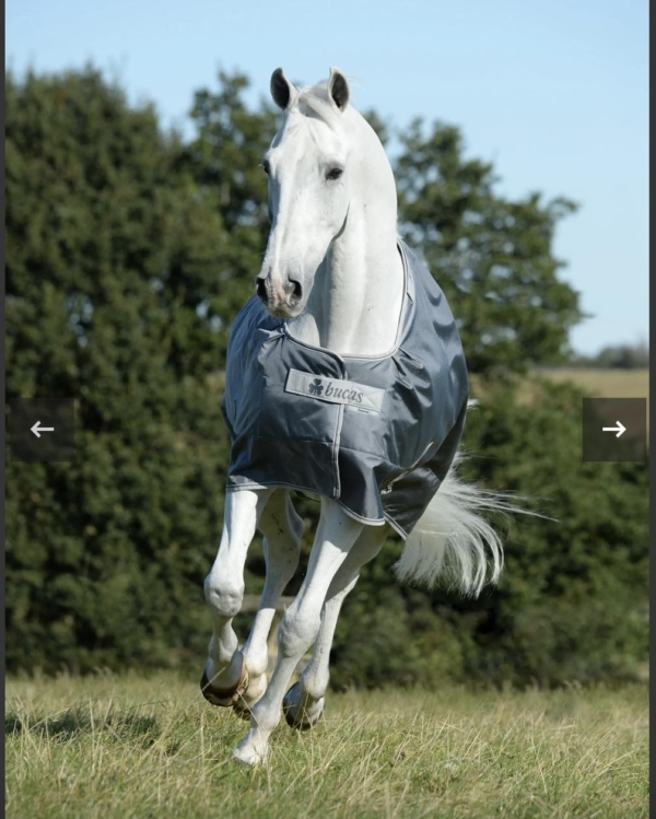 bucas smartex2